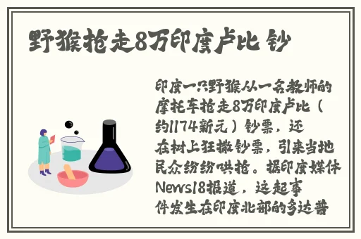日本卡一卡二卡三入口